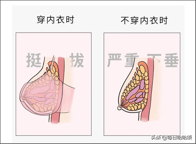 吉娜把一手好牌打得稀烂！最后坚挺的竟然只有胸？不愧是人妻！