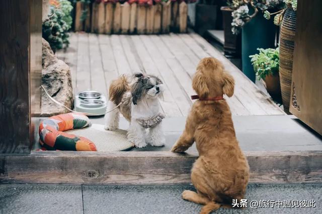 念念不忘的丽江，再次踏足，只为寻找当年教我打鼓的漂亮女孩