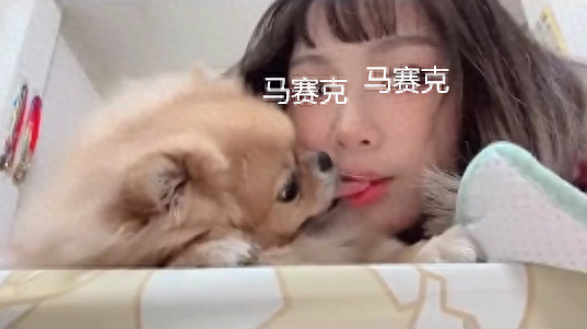 女子和爱犬拍亲昵视频，对着镜头互相“吐信子”，网友：给看吐了