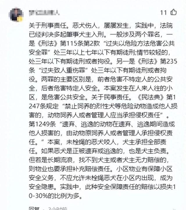 狂犬病威胁下，美女狗主人奋力拯救受伤女孩，众人感动哭泣！