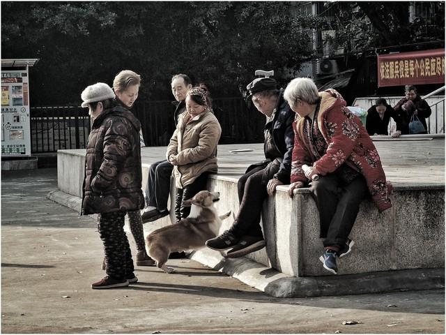 少妇出轨邻居被丈夫捉奸在床，两人赤身裸体，画面不堪入目