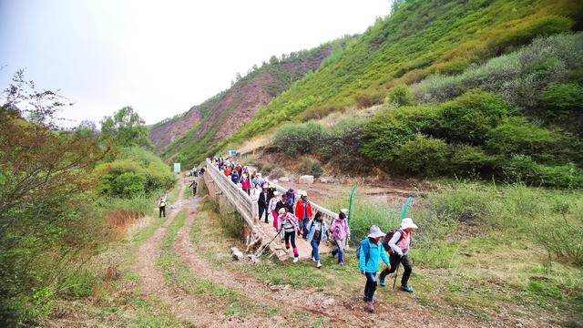 迎风沐雨，到兰州阿干镇双嘴山，欣赏那片高山杜鹃