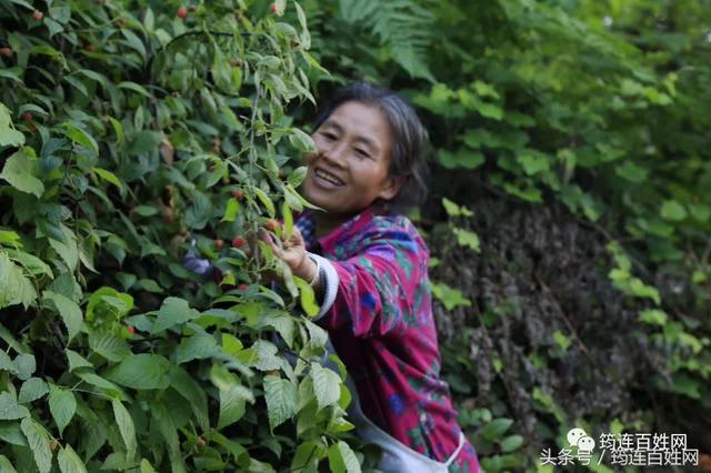 为了能吃上“山珍”，这些美女简直啥子都不管不顾了！