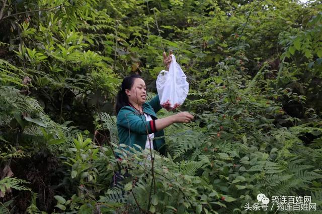 为了能吃上“山珍”，这些美女简直啥子都不管不顾了！