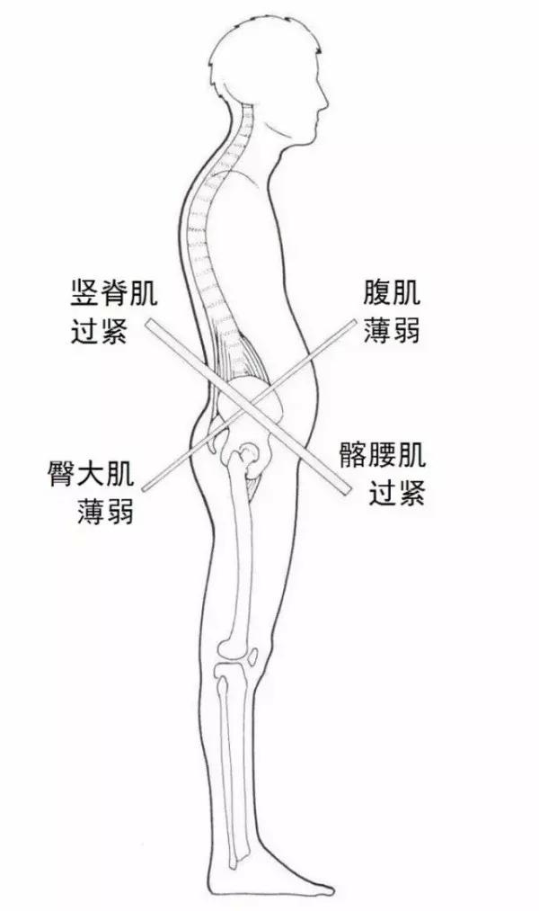 明星的蜜桃臀，竟然都是障眼法？