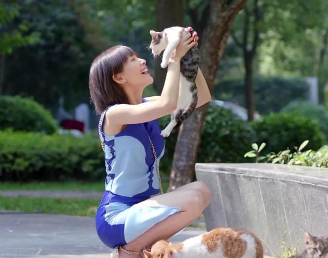 盘点欢乐颂美女排名第一非她莫属