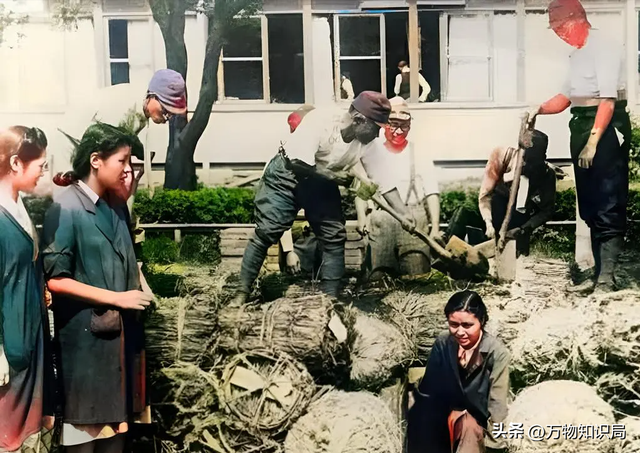 日本网友在家发现侵华照片：妇科外站满慰安妇，女孩表情让人心疼