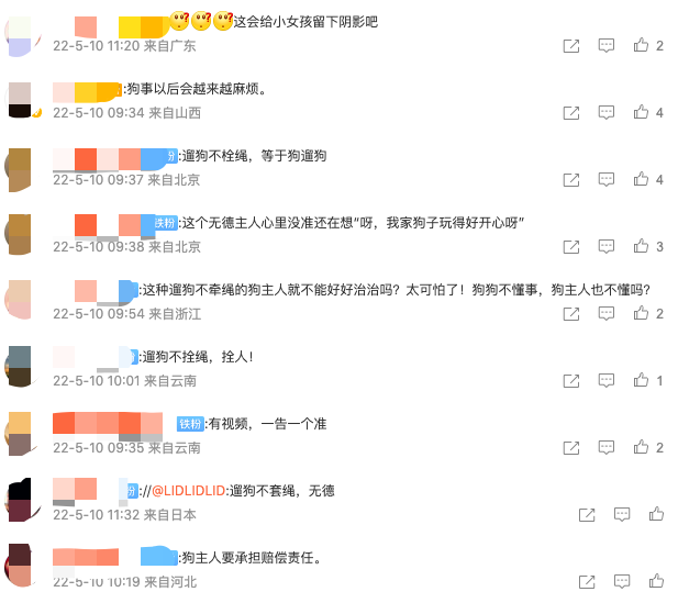 小女孩被未拴绳小狗狂追30秒，家长：狗主人全程冷眼旁观，孩子摔倒后立刻离开