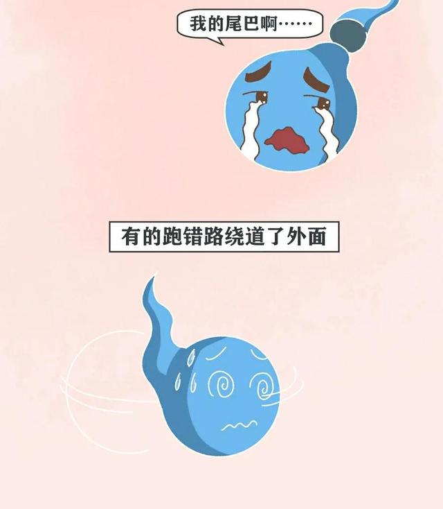 当精子进入女生体内后，会发生什么变化？不要羞于了解！