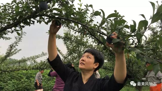 曾经都市美娇娘，如今田园花木兰，80后美女7年打出一片“田”