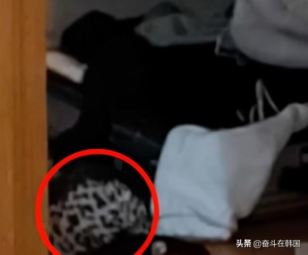 为热度无下限！韩国网红女主播疑似在直播中跟粉丝发生性关系？