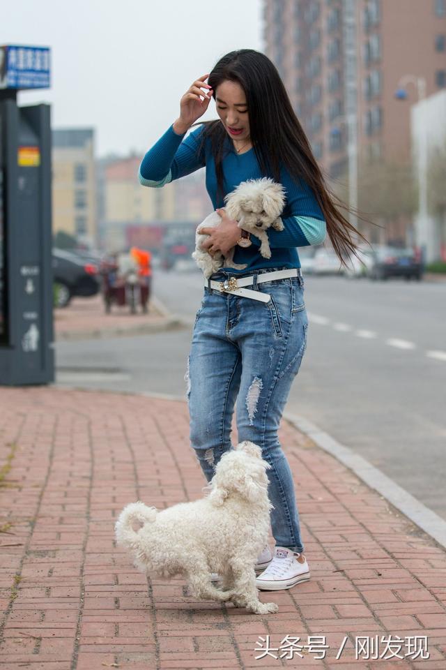 家里比熊犬发情了，遇到它心中的美女，谁也阻拦不住它求偶的脚步