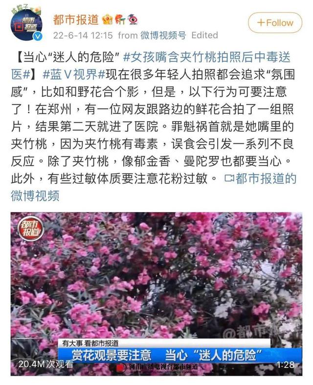 女游客高原摘花被举报，美女嘴含野花后住院，一个很刑一个很毒！