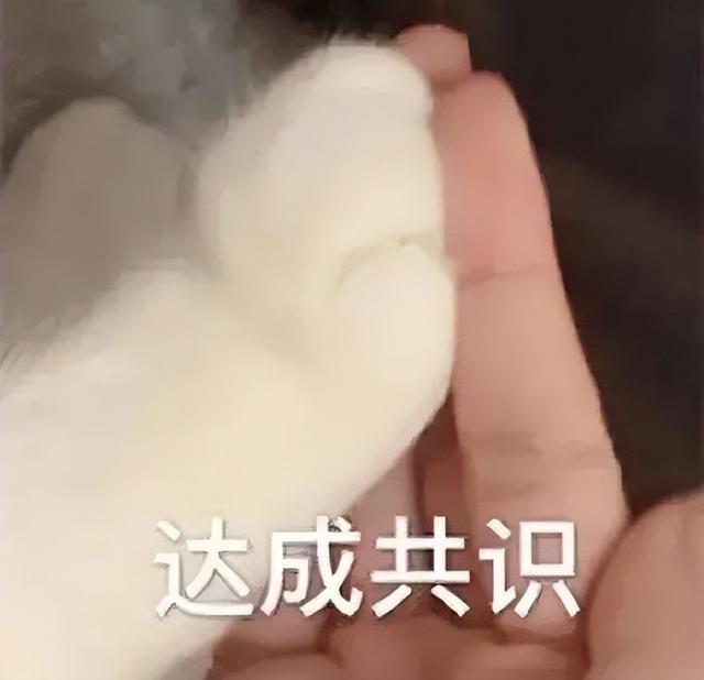 为啥女生大腿上绑根带子，看起来会很性感