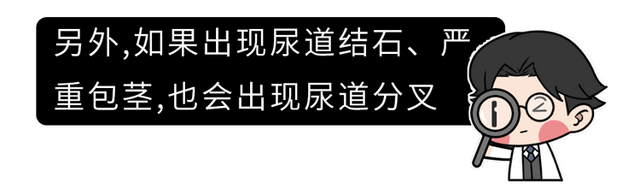 男人见到美女时，真的会“激动”到流鼻血？7个生理知识该知道