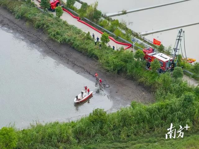 广东出逃鳄鱼已抓回58条！抓捕现场画面曝光：嘴被绑得死死的