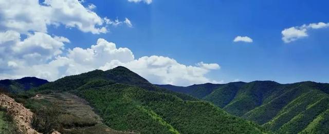 迎风沐雨，到兰州阿干镇双嘴山，欣赏那片高山杜鹃