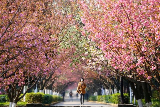 神仙颜值！西安交大曝光“最美校花”，高清大图惊艳全网！