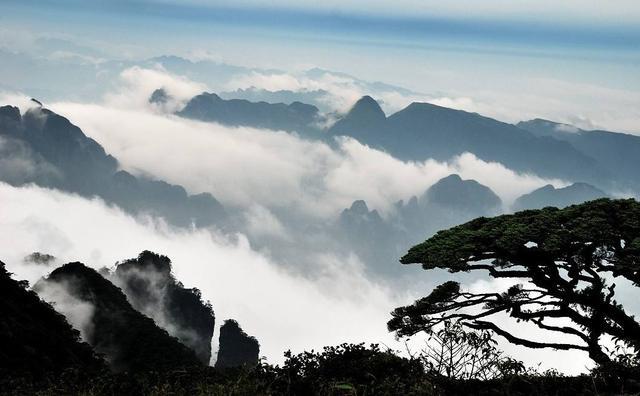 您好，我叫金秀，这是我最新简历