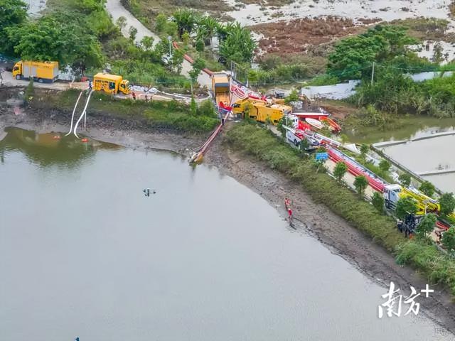 广东出逃鳄鱼已抓回58条！抓捕现场画面曝光：嘴被绑得死死的