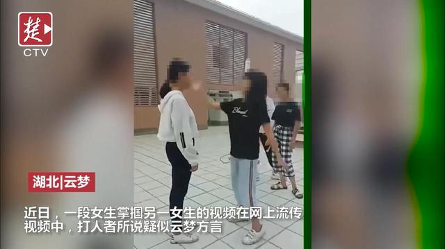 网传小学女生掌掴她人，边打边数，警方已介入