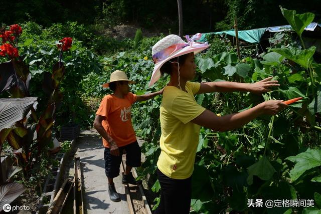 重庆32岁男子身高1米35  娶20岁高个子美娇妻  14年后过成啥样子