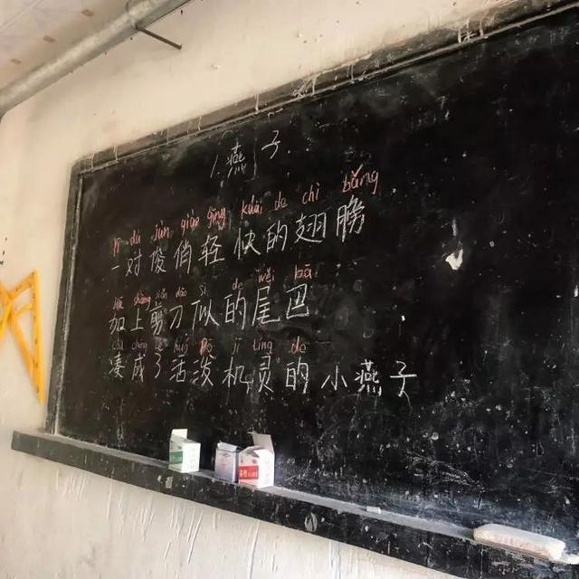 女大学生为支教剃光头 网友：善心比光头耀眼