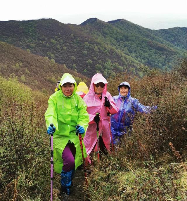 迎风沐雨，到兰州阿干镇双嘴山，欣赏那片高山杜鹃