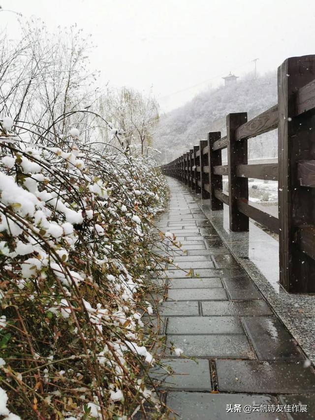 「当代诗人咏冬天」王海娜 卷