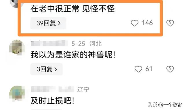 闹大了，粗壮女孩一屁股蹲地上任性撒~娇，引热议