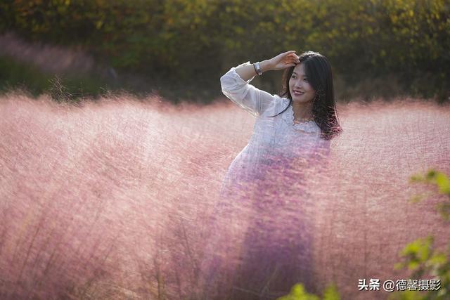 粉黛乱子草&美女人像（II）