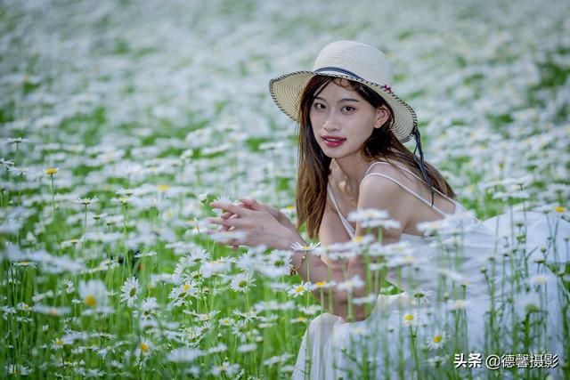 初夏•雏菊•美女（环境人像）