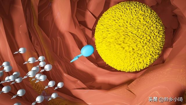 大学生精子质量PK赛：用“满满干货”提高性健康意识！你支持吗？