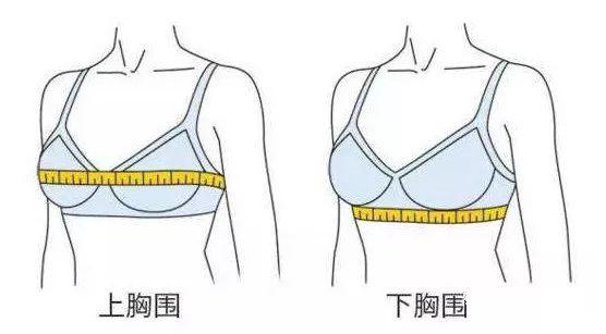 乳腺外科医生坦言：这个罩杯以下的女性，不穿内衣也可以