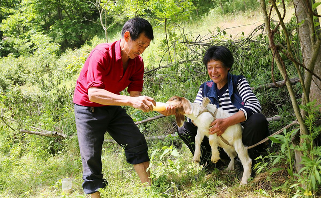 妻子给弟弟还房贷，婆婆生日丈夫给5千红包，妻子：你妈有退休金