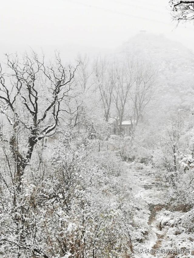 「当代诗人咏冬天」王海娜 卷