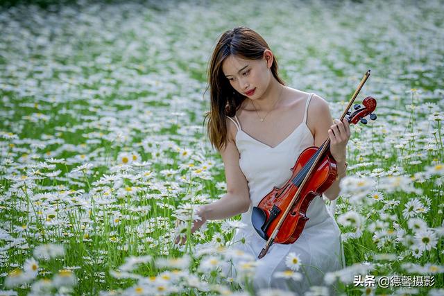 初夏•雏菊•美女（环境人像）