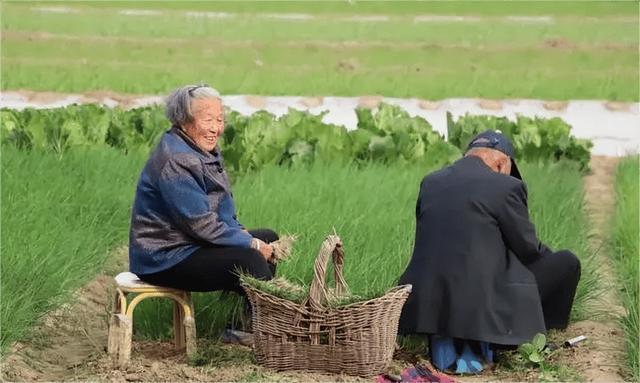 90后女孩开货车跑遍中国，霸气征婚：我开卡车养你，给我爱情就好