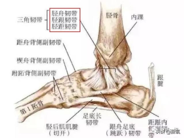 孟美岐跳舞把脚崴成90度，还曾因脚伤差点没出道，心疼