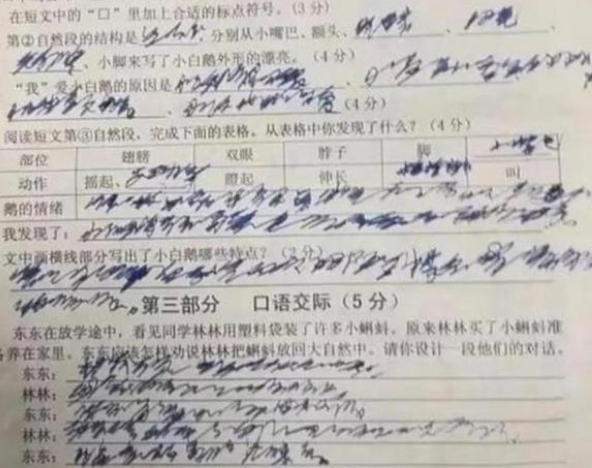 小学生“狂草”作业火了，字迹如脱缰野马，老师：给我请个翻译