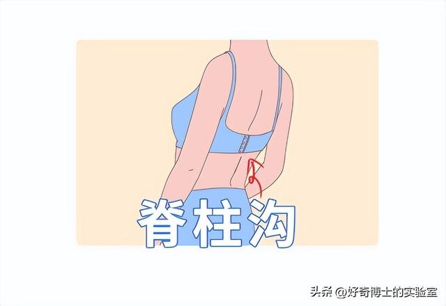 为什么女生的内衣扣是从后面解开的？放在正面不是更方便吗？