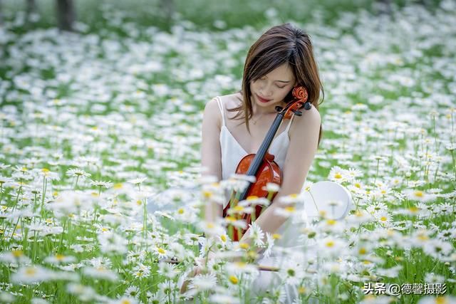 初夏•雏菊•美女（环境人像）