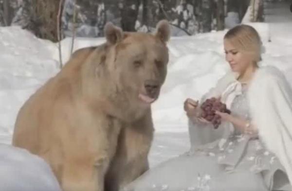 美女带棕熊拍雪地婚纱照，看到照片发现熊的眼神笑翻人：长点心吧