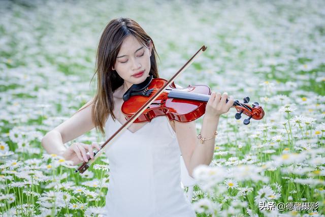 初夏•雏菊•美女（环境人像）