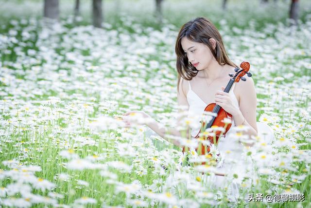 初夏•雏菊•美女（环境人像）