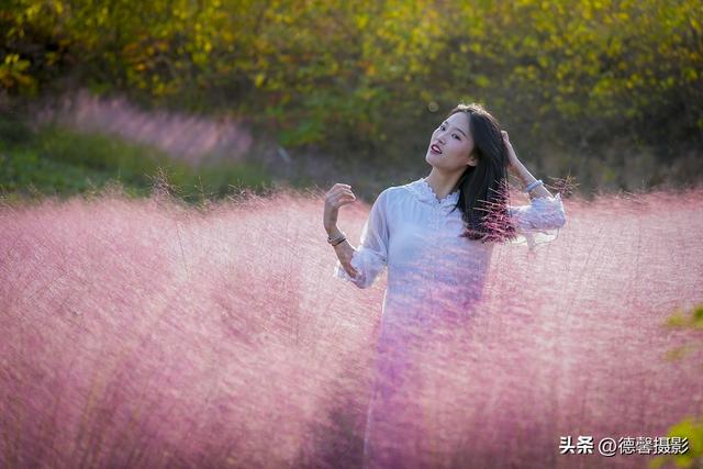 粉黛乱子草&美女人像（II）