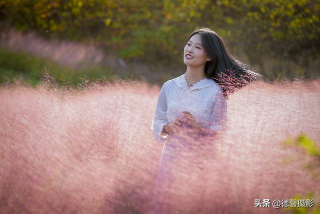 粉黛乱子草&美女人像（II）