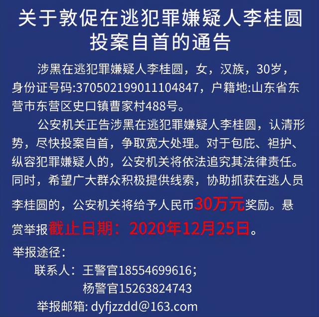 山东90后女黑老大李桂圆，靠漂亮脸蛋为祸东营多年，最终下场如何