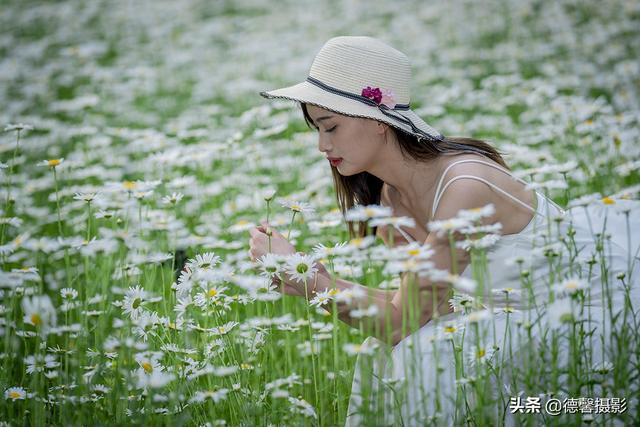 初夏•雏菊•美女（环境人像）