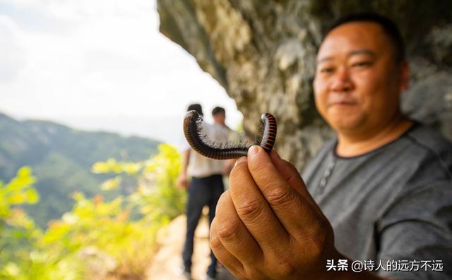 女汉子看了腿软！重庆网红“挂壁水渠”，实景绝了